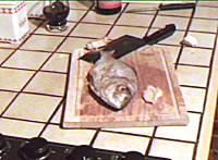 poissonvapeur